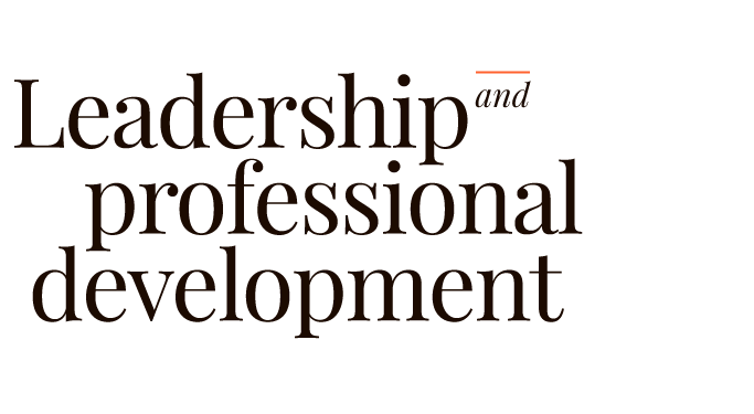 leadership-professional-development-h1-brown