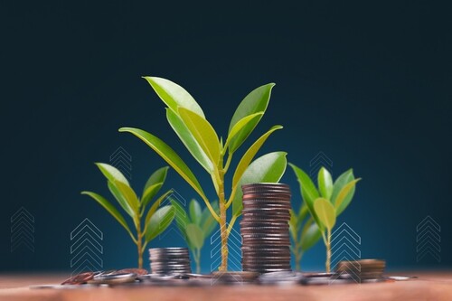 Executive Webinar Series: Optimising a growth strategy within the Support at Home market